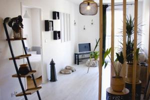 uma sala de estar com vasos de plantas e uma televisão em Perigueux T2 proche du quartier historique em Périgueux