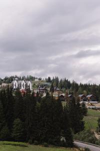 a group of houses on a hill with trees at Toga cottage in Yablunytsya