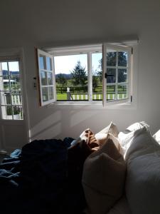 Dangerfield Oaks Boutique Cottage's的休息区