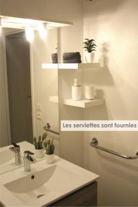 uma casa de banho com um lavatório e um espelho em Perigueux T2 proche du quartier historique em Périgueux