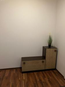 a box with a plant on top of it in a room at Ferienwohnung C&C in Trofaiach