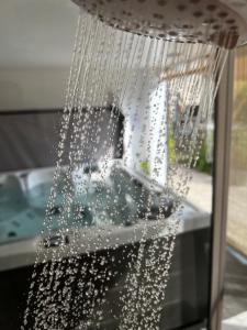 Er stroomt water uit een douche. bij La petite Brainoise - Gîte avec salle jacuzzi 120 jets in Braine