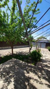 Gallery image of Casa Caraua in Greci