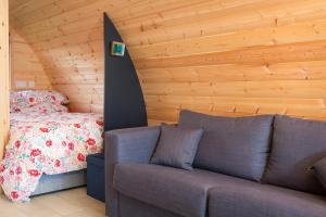 ein Wohnzimmer mit einem Sofa und einem Bett in der Unterkunft Kilbane Glamping in Kilbane