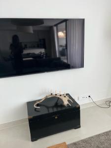 A television and/or entertainment centre at New apartment in Higueron West