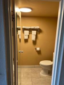 a bathroom with a toilet and a shower with towels at Hotel Weston RFD in Rockford
