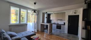 a living room with a couch and a kitchen at Ioana Apartment Resita in Reşiţa