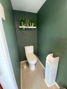 a bathroom with a toilet and a green wall at Tiny Home on a Hill in Heathcote