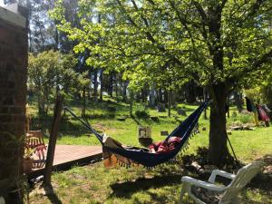 a person sleeping in a hammock under a tree at Un lugar para compartir in Salto