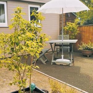 a picnic table and an umbrella in a backyard at Garden Apartment Morpeth- with lockable bike storage! in Morpeth