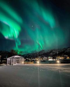 un'immagine dell'aurora boreale nel cielo di Unik liten leilighet i Stamsund, midt i Lofoten a Rishaugen