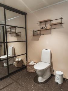 bagno con servizi igienici e specchio di Unik liten leilighet i Stamsund, midt i Lofoten a Rishaugen