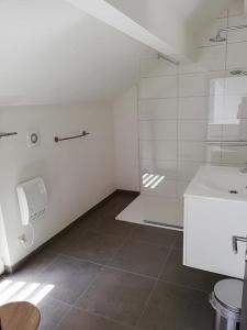 un bagno con doccia, WC e lavandino di L'endroit oublié a Spa