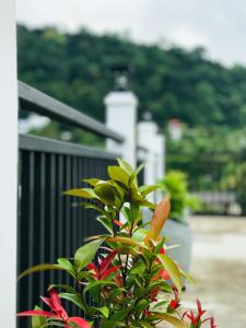 Foto sihtkohas Kandy asuva majutusasutuse Tranquil Quarter galeriist