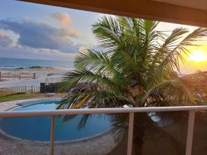 a balcony with a palm tree and a swimming pool at Vilas Na Praia Residence Condomínio in Canoa Quebrada