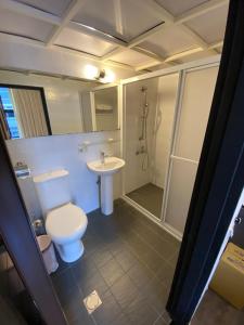 uma casa de banho com um WC, um chuveiro e um lavatório. em Queens Hotel em Taipei