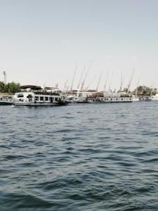 Φυσικό τοπίο κοντά σε αυτό το διαμέρισμα