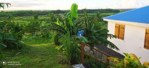 Zahrada ubytování Kaz a Klemence Gite creole avec piscine et table dhotes a Anse Bertrand