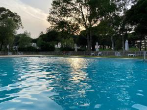 a swimming pool with blue water in a park at Moderno apartamento en Empordà Golf in Gualta