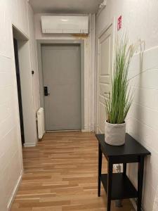 a hallway with a door and a table with a plant at Gästis Vandrarhem i Örkelljunga in Orkelljunga