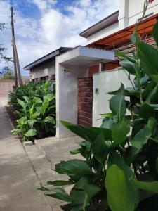 uma casa com um monte de plantas à frente dela em Zest hotel & spa em Oral