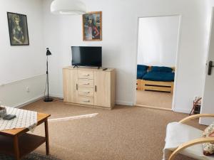 TV a/nebo společenská místnost v ubytování Apartmán Ala