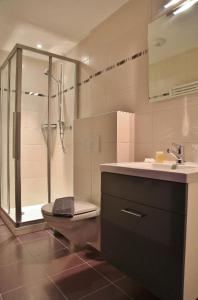ein Bad mit einem WC, einem Waschbecken und einer Dusche in der Unterkunft Hôtel de ville du Sentier in Le Sentier