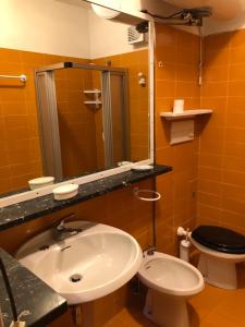 een badkamer met een wastafel, een toilet en een spiegel bij Appartamento per max 6 pers nel centro di San Martino di Castrozza n 31 in San Martino di Castrozza