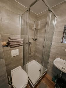 uma casa de banho com um chuveiro, um WC e um lavatório. em Pokoje Gościnne Wysoka em Świeradów-Zdrój