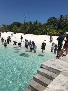 a group of people standing in the water at the beach at Malas Island View in Fulidhoo
