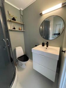 a bathroom with a sink and a mirror and a toilet at Flott leilighet med ski in ski out, utsikt og balkong in Oppdal