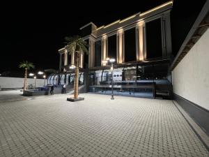 塔什干Ada Hotel的一座棕榈树在晚上的建筑