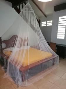 uma cama coberta numa rede num quarto em Logement de 100 m carré em Rémire-Camp