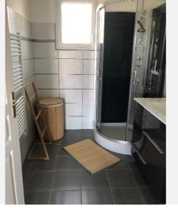 ein Bad mit einer Dusche, einem Waschbecken und einem Spiegel in der Unterkunft Les coteaux vue mer in Criel-sur-Mer