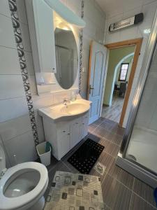 a bathroom with a sink and a toilet and a mirror at Stunning Adriatic Vista Home in Zelenika