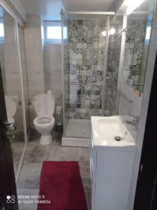y baño con aseo, ducha y lavamanos. en Casa Vladimirescu, en Drobeta-Turnu Severin