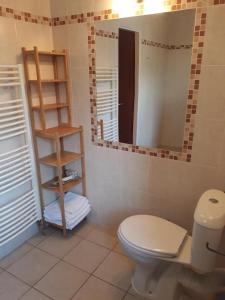 a bathroom with a toilet and a mirror at ubytovanie CITY apartmán in Martinske Hole