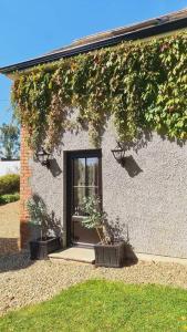 a house with ivy growing on the side of it at Old Farmhouse Annex in Cluain Eois