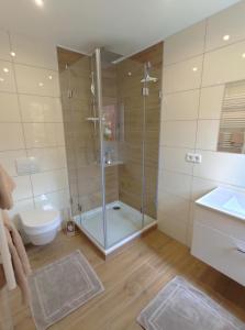 ein Bad mit einer Dusche, einem WC und einem Waschbecken in der Unterkunft Ferienwohnung Cassiopeia in Harzgerode