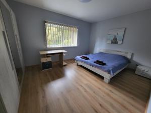 1 dormitorio con cama y escritorio. en Vomikay Villa en Tallin