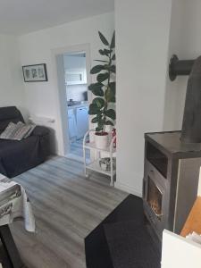 a living room with a fireplace and a couch at FerienhausWeseby in Hürup +5 photos