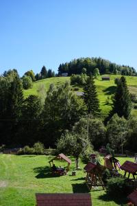 a group of picnic tables in a field of grass at Celestia in Moieciu de Sus