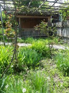 Κήπος έξω από το Воржоми Mzetamze +1 φωτογραφίες