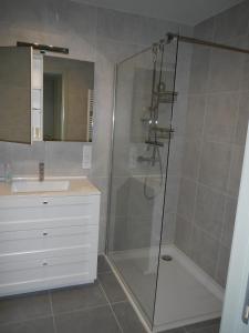 ein Bad mit einer Dusche und einem Waschbecken in der Unterkunft Oostendenachten in Ostende
