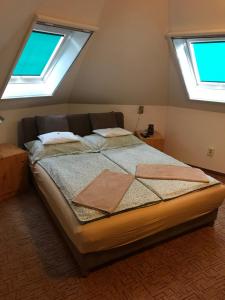 Bett in einem Zimmer mit 2 Fenstern in der Unterkunft Napfény apartman in Orosháza