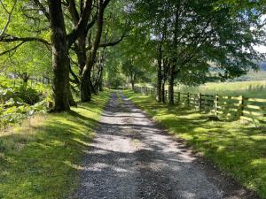 a dirt road with trees and a fence at Exclusive private estate cottage in Lochearnhead