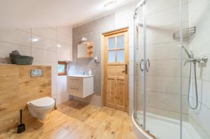 a bathroom with a shower and a toilet and a sink at Pod Śnieżnymi Kotłami in Piechowice +185 photos