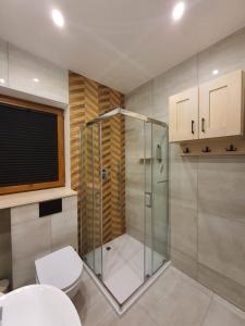 een badkamer met een douchecabine en een toilet bij Dom na Wzgórzu SŁOŃCE na wyłączność JACUZZI ELEKTRYCZNE SAUNA ROWERY in Zawóz +37 foto's