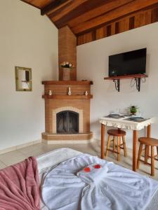 uma sala de estar com lareira e uma cama em Estalagem Do Luar em Monte Verde
