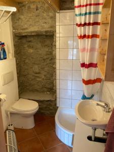Łazienka z białą toaletą i umywalką w obiekcie Rustico a Roveredo GR w mieście Roveredo